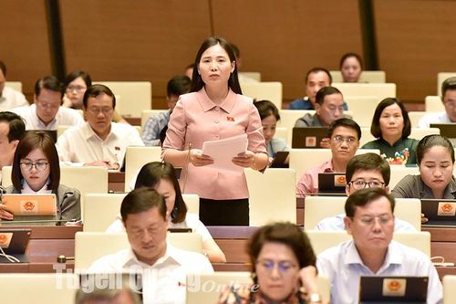 Đại biểu Quốc hội Âu Thị Mai đề xuất nhiều giải pháp phát triển văn hóa