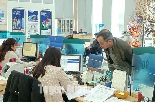 Chính sách ưu đãi mới trong đăng ký, sử dụng tên miền '.vn'