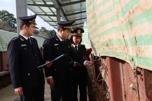 5 tháng, Hải quan Lào Cai làm thủ tục cho 19.078 tờ khai xuất nhập khẩu