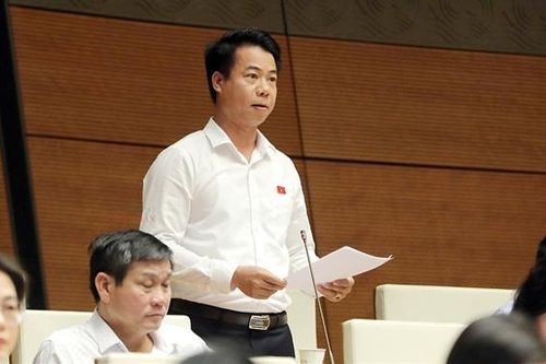 Đẩy nhanh tiến độ lập, thẩm định quy hoạch tỉnh, quy hoạch vùng, quy hoạch ngành