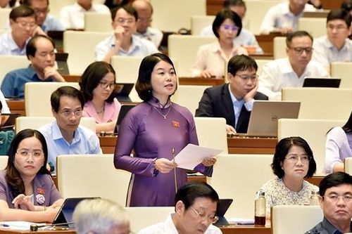 Quan tâm đẩy mạnh phát triển kinh tế - xã hội cho vùng căn cứ kháng chiến
