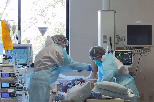 Nhật Bản thành lập cơ quan kiểm soát dịch bệnh mới để giúp chống lại đại dịch tiếp theo