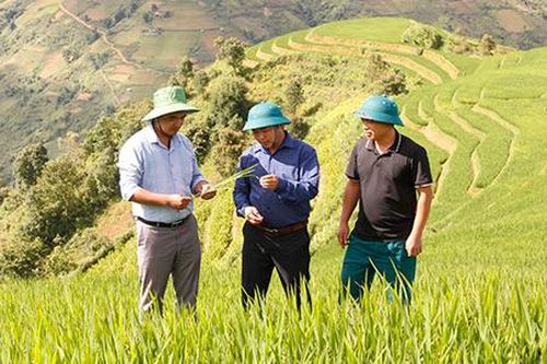 Động lực giúp nông thôn Bắc Yên 'thay da đổi thịt'