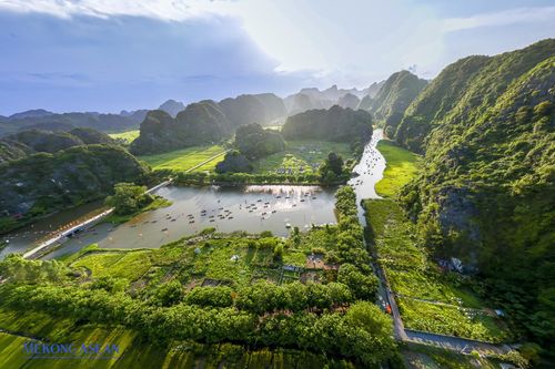Nao lòng vẻ đẹp như tranh mùa vàng Tam Cốc