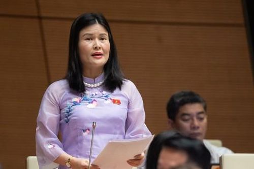 Đại biểu Quốc hội: Cần nhanh chóng quy hoạch mạng lưới cơ sở giáo dục đại học