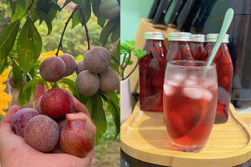 Bỏ túi ngay cách làm siro mận thơm ngon giải nhiệt mùa hè