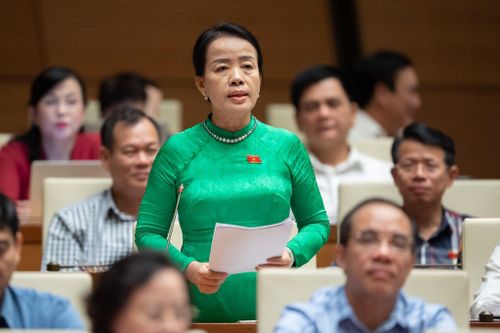 Đại biểu Quốc hội nêu những bất cập trong chọn sách giáo khoa mới