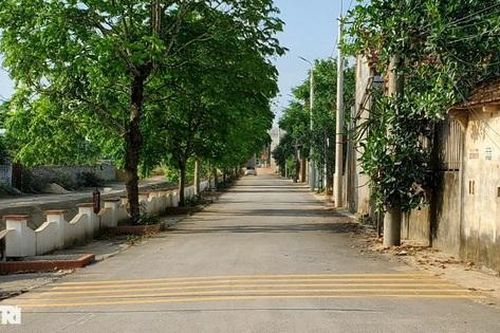 Bật mí cách làm giàu tại ngôi làng có thu nhập bình quân đầu người 'khủng'