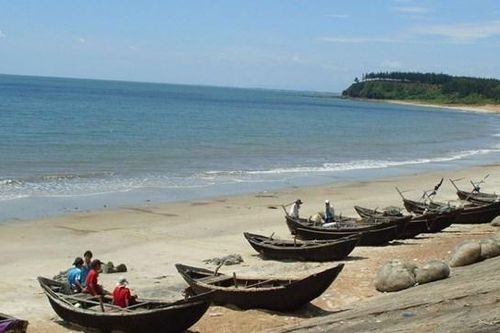 Trà Cổ, ngày tôi trở lại
