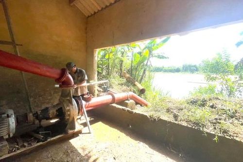 Hàng nghìn hecta đất nông nghiệp ở Quảng Ngãi có khả năng gặp hạn
