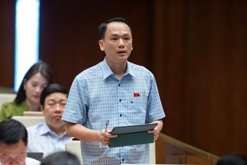 Đại biểu Quốc hội: Quy định rõ tiêu chí thăng hàm cấp tướng trước thời hạn