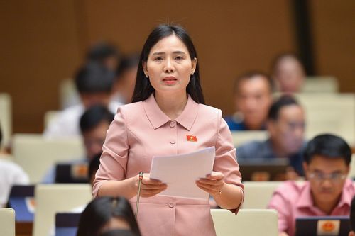Đề nghị tăng mức chi ngân sách nhà nước cho phát triển văn hóa và du lịch