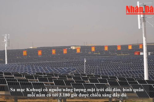Ấn tượng những cánh đồng năng lượng mặt trời ở Trung Quốc
