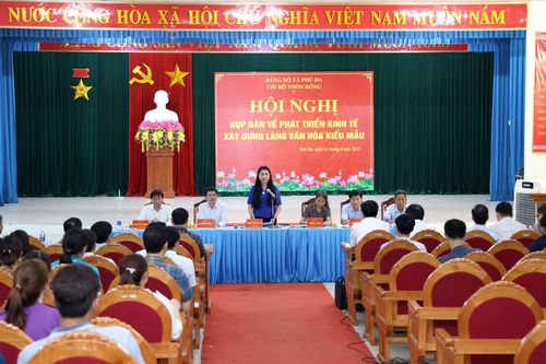 Vĩnh Phúc họp bàn với người dân về xây dựng Làng văn hóa kiểu mẫu