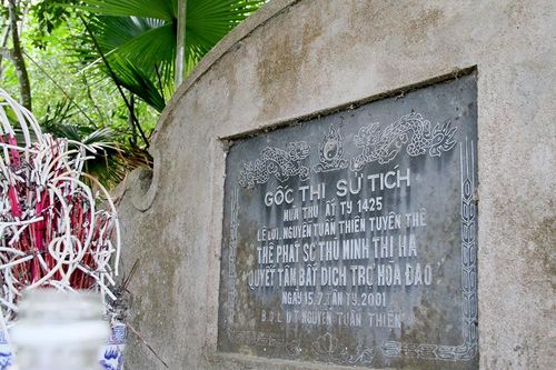 Cây thị 'cứu' vua Lê Lợi được công nhận cây di sản