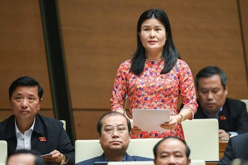 Chạy theo ngành dễ tuyển sinh, nhiều trường đại học không còn chú trọng chất lượng đào tạo