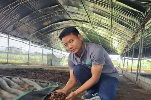 Bỏ phố về quê nuôi giun