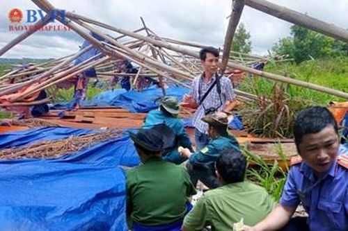Chuyện chưa kể về hành trình điều tra đưa nhóm lâm tặc ra Tòa của Báo Bảo vệ pháp luật