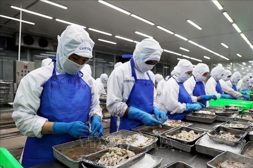 Lao động trẻ và xu hướng mới của thị trường lao động - Bài cuối: Xây dựng nguồn nhân lực trong giai đoạn mới