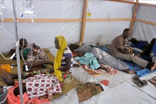 Trên 420 người tử vong do dịch tả ở Cameroon