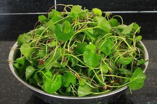 7 loại rau giá rẻ giải độc gan cực tốt, ăn vào đỡ táo bón hết mề đay
