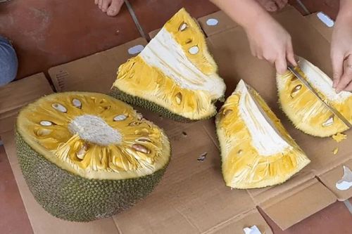 Mẹo làm sạch nhựa mít đơn giản, nhanh gọn