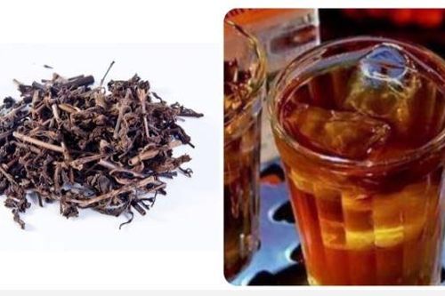 Uống nước nhân trần có tốt không?