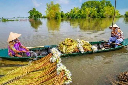 Tạp chí du lịch hàng đầu thế giới gợi ý 5 trải nghiệm tuyệt vời khi du lịch Việt Nam