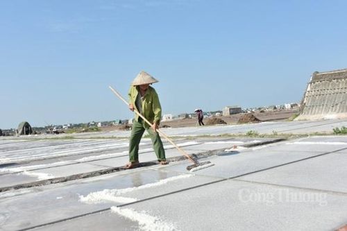 Được mùa nhưng diêm dân cánh đồng muối Bạch Long không vui