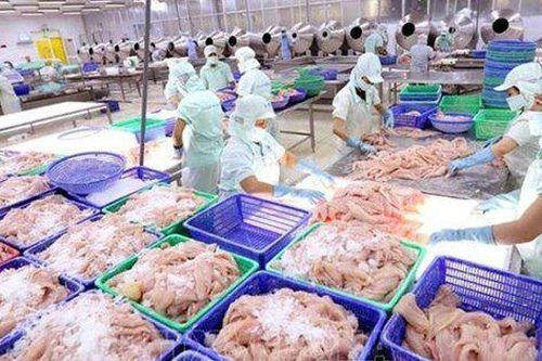 Thủy sản Cửu Long An Giang (ACL): Chủ tịch chi hơn chục tỷ tăng sở hữu lên gần 55%