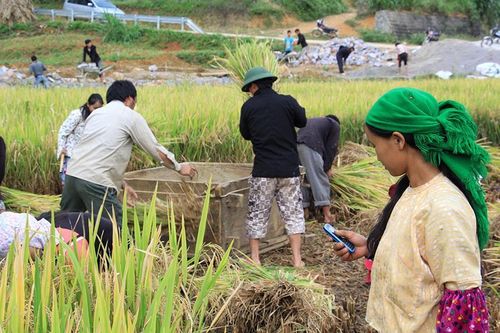 Hà Giang: Dồn lực thực hiện 3 chương trình mục tiêu quốc gia, tạo sinh kế để giảm nghèo