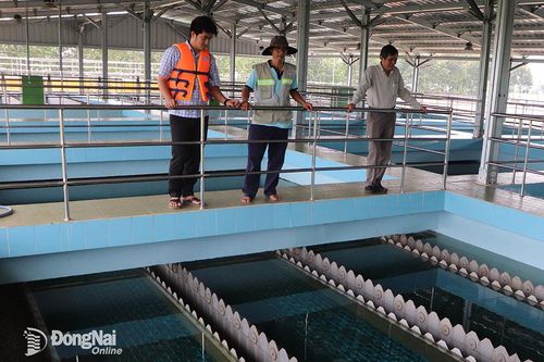 Khuyến khích người dân sử dụng nước sạch
