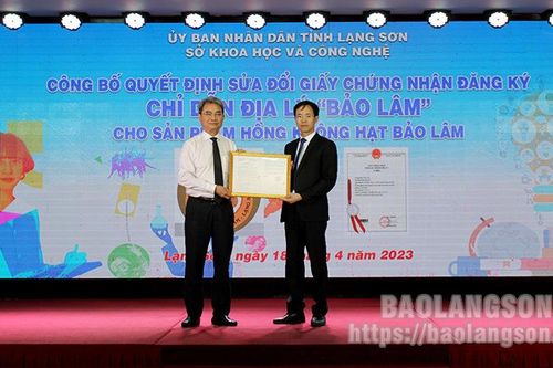 Phát triển sản phẩm hồng không hạt mang chỉ dẫn địa lý 'Bảo Lâm'