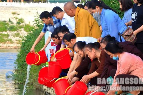 Gần 100 đại biểu thả cá hưởng ứng Ngày Môi trường thế giới và Ngày Đại dương thế giới