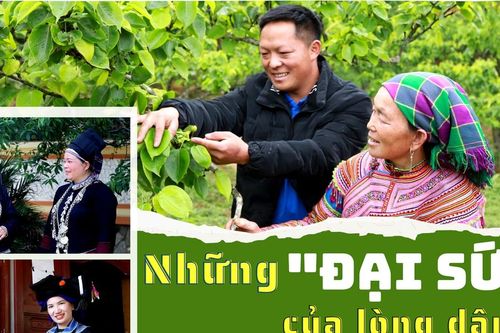Những 'đại sứ' của lòng dân