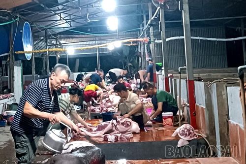 Bảo Thắng: Đưa các hộ giết mổ gia súc tự phát vào khu giết mổ tập trung tại xã Gia Phú