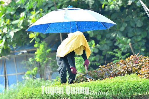 Oằn mình dưới nắng nóng
