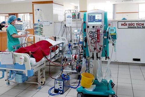 Cứu sống bệnh nhân sốc nhiễm khuẩn huyết, suy đa tạng, suy hô hấp cấp