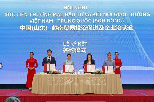 Doanh nghiệp Việt Nam - Sơn Đông (Trung Quốc) ký kết 7 thỏa thuận hợp tác thương mại, đầu tư