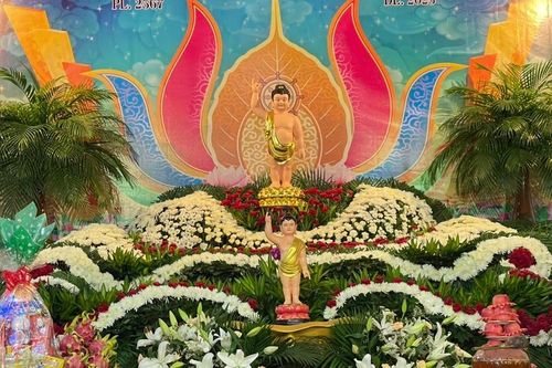 Đại lễ Phật đản Phật lịch 2567 tại các chùa, tịnh xá