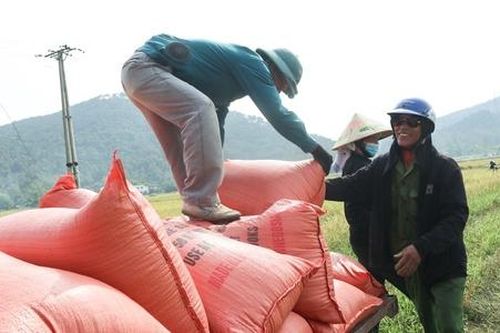 Nóng nạn bảo kê máy gặt vì thiếu 'bóng' HTX