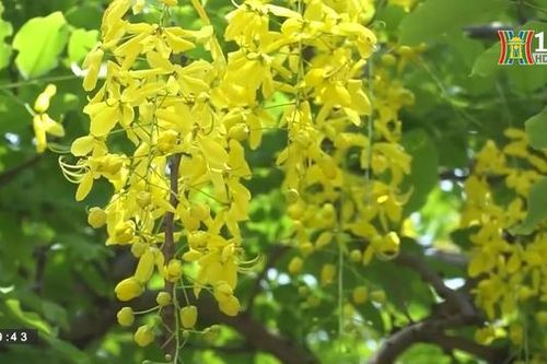 Hà Nội đẹp và chưa đẹp | 02/06/2023