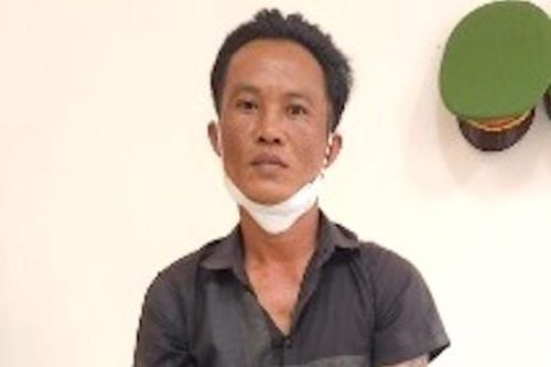 Bắt đối tượng phá rừng bị truy nã