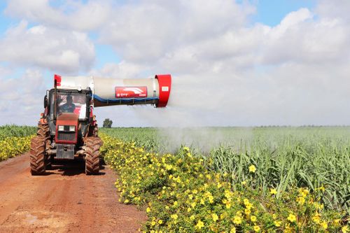 Phát triển nông nghiệp công nghệ cao là đột phá chiến lược của Tây Ninh