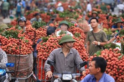 Để không phải ''giải cứu nông sản''