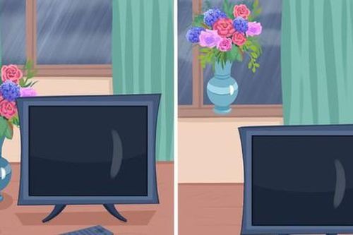 7 mẹo được tiết lộ giúp hoa nhà bạn cắm tươi lâu hơn
