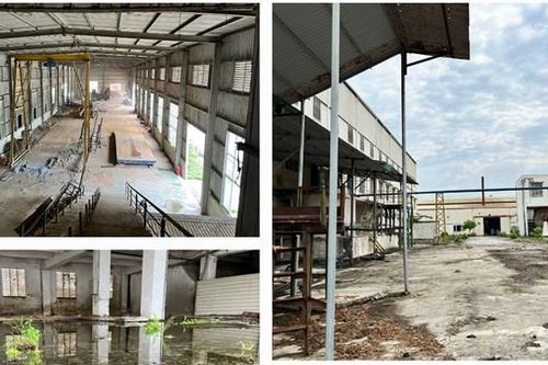Nhếch nhác nhà máy giấy nghìn tỷ