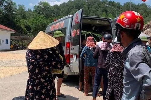 Đi lấy mật ong rừng, một người đàn ông bị ong đốt tử vong