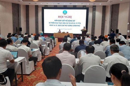 Tăng cường quản lý, kiểm soát giết mổ động vật