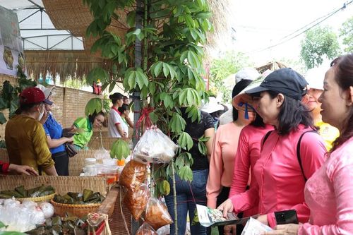 Huyện Củ Chi rộn ràng đón khách hè